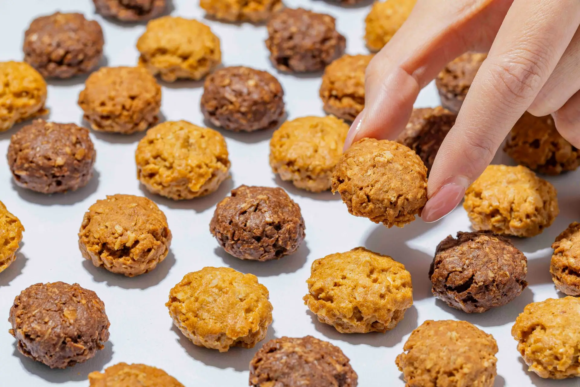 AMAZAKE OATMEAL COOKIE